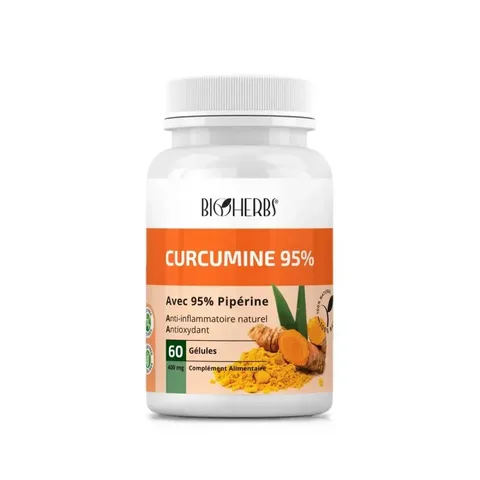 BIOHERBS Curcumine 95% 60 Gélules