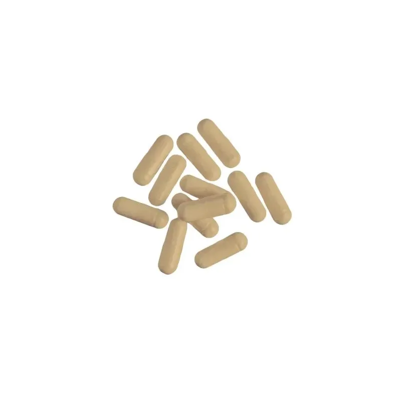 NUTREND Tribulus Terrestris 60 Capsules — photo 2