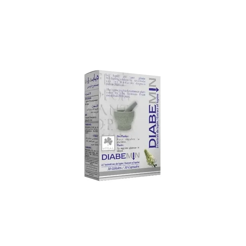 Vital Diabemin 30 Gélules
